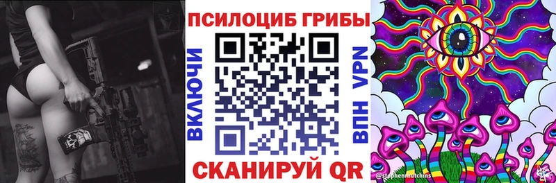 omg как зайти  купить  цена  Власиха  Галлюциногенные грибы Psilocybine cubensis 